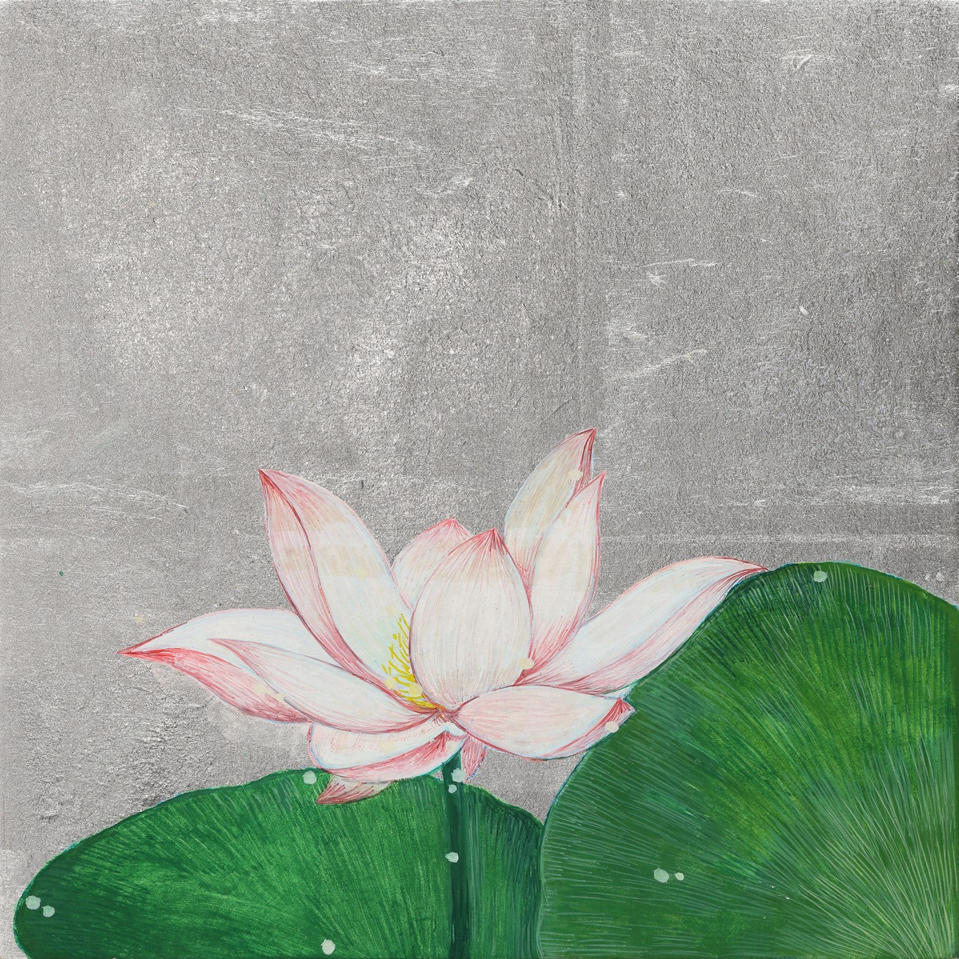 Lotus — Quiet Bloom